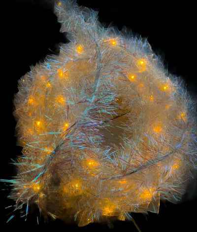 Festone luminoso con paglietta e luci a led decorazione natalizia 5 mt Casa e cucina/Decorazioni per interni/Addobbi e decorazioni per ricorrenze/Decorazioni natalizie/Luci natalizie/Catene luminose per interni MagiediNatale.it - Altamura, Commerciovirtuoso.it