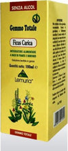 FICUS-CARICA-GEMMOTOTALE-100-ml-Lemuria