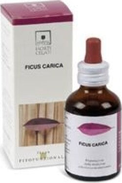 FICUS-CARICA-Macerato-di-Gemme-50-ml-Santiveri-Ibersan