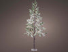 Figura luminosa di Albero di Pino, led a luce bianco caldo in acrilico Casa e cucina/Decorazioni per interni/Addobbi e decorazioni per ricorrenze/Decorazioni natalizie/Luci natalizie/Catene luminose per esterni MagiediNatale.it - Altamura, Commerciovirtuoso.it