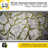 FILA-ALGAENET-ML.500-+-FILA-HYDROREP-ECO-LT.1-+-Spugne-Abrasive-per-rimuovere-Muschi-e-Licheni
