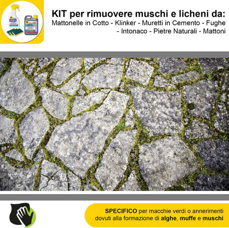 FILA-ALGAENET-ML.500-+-FILA-HYDROREP-ECO-LT.1-+-Spugne-Abrasive-per-rimuovere-Muschi-e-Licheni