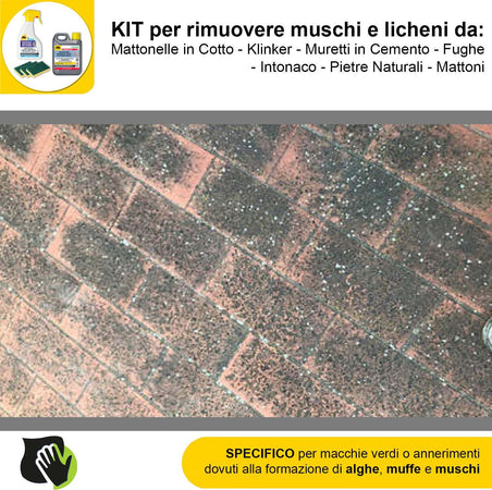 FILA-ALGAENET-ML.500-+-FILA-HYDROREP-ECO-LT.1-+-Spugne-Abrasive-per-rimuovere-Muschi-e-Licheni