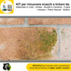 FILA-ALGAENET-ML.500-+-FILA-HYDROREP-ECO-LT.1-+-Spugne-Abrasive-per-rimuovere-Muschi-e-Licheni