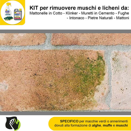 FILA-ALGAENET-ML.500-+-FILA-HYDROREP-ECO-LT.1-+-Spugne-Abrasive-per-rimuovere-Muschi-e-Licheni
