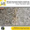 FILA-ALGAENET-ML.500-+-FILA-HYDROREP-ECO-LT.1-+-Spugne-Abrasive-per-rimuovere-Muschi-e-Licheni