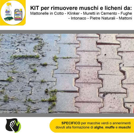 FILA-ALGAENET-ML.500-+-FILA-HYDROREP-ECO-LT.1-+-Spugne-Abrasive-per-rimuovere-Muschi-e-Licheni
