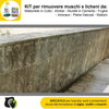 FILA-ALGAENET-ML.500-+-FILA-HYDROREP-ECO-LT.1-+-Spugne-Abrasive-per-rimuovere-Muschi-e-Licheni
