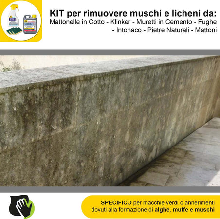 FILA-ALGAENET-ML.500-+-FILA-HYDROREP-ECO-LT.1-+-Spugne-Abrasive-per-rimuovere-Muschi-e-Licheni