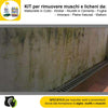 FILA-ALGAENET-ML.500-+-FILA-HYDROREP-ECO-LT.1-+-Spugne-Abrasive-per-rimuovere-Muschi-e-Licheni
