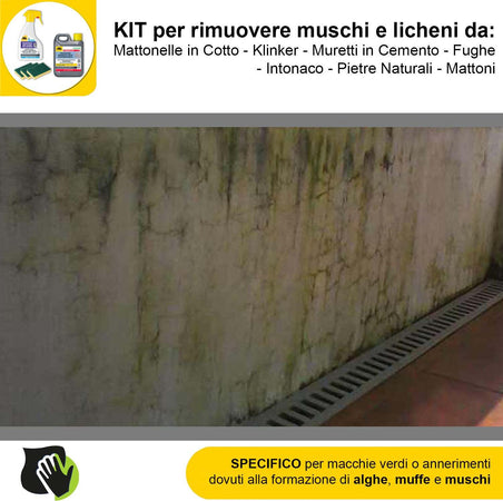 FILA-ALGAENET-ML.500-+-FILA-HYDROREP-ECO-LT.1-+-Spugne-Abrasive-per-rimuovere-Muschi-e-Licheni