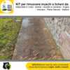 FILA-ALGAENET-ML.500-+-FILA-HYDROREP-ECO-LT.1-+-Spugne-Abrasive-per-rimuovere-Muschi-e-Licheni