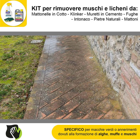 FILA-ALGAENET-ML.500-+-FILA-HYDROREP-ECO-LT.1-+-Spugne-Abrasive-per-rimuovere-Muschi-e-Licheni