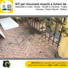 FILA-ALGAENET-ML.500-+-FILA-HYDROREP-ECO-LT.1-+-Spugne-Abrasive-per-rimuovere-Muschi-e-Licheni