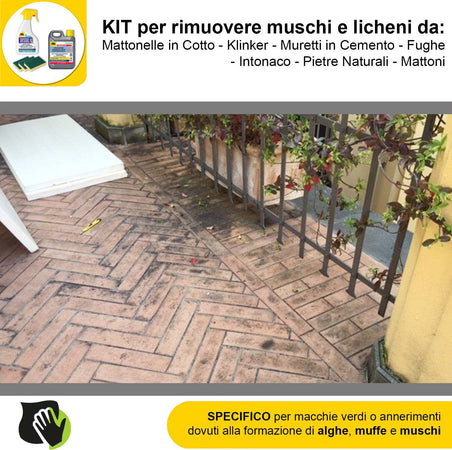 FILA-ALGAENET-ML.500-+-FILA-HYDROREP-ECO-LT.1-+-Spugne-Abrasive-per-rimuovere-Muschi-e-Licheni