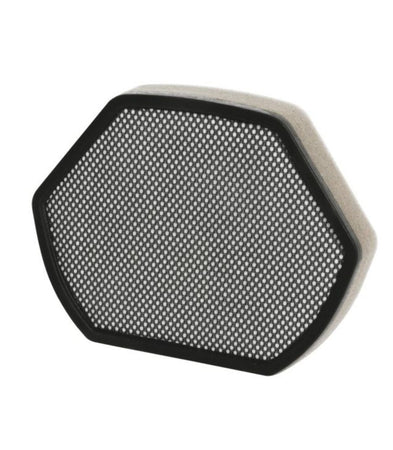 Filtro Aspirapolvere a Traino BGS41... VSX41....