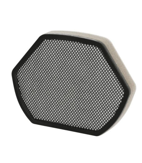 Filtro Aspirapolvere a Traino BGS41... VSX41....