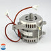 Motore H60 N per Affettatrice Lusso 300 A-L, S-L