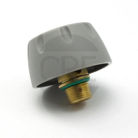 Tappo Grigio Sicurezza Vapore Caldaia per TuttoVapore G40001 G3Ferrari