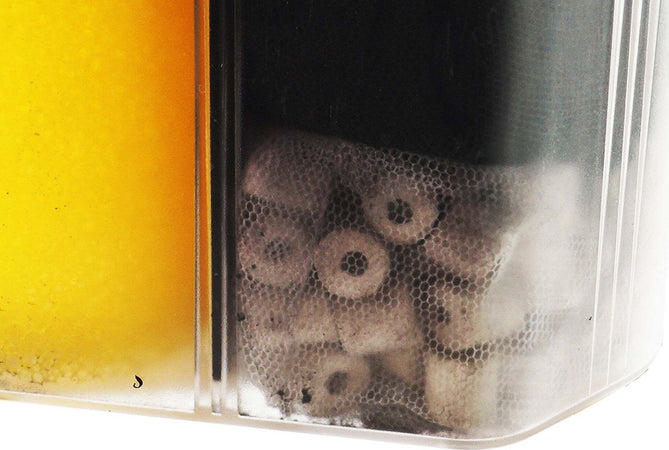 FILTRO ESTERNO PER ACQUARIO 5.5 W BOYU EF-05 150 L/H CANNOLICCHI CARBONI ATTIVI Prodotti per animali domestici/Pesci e animali d'acqua/Pompe e filtri/Filtri Trade Shop italia - Napoli, Commerciovirtuoso.it