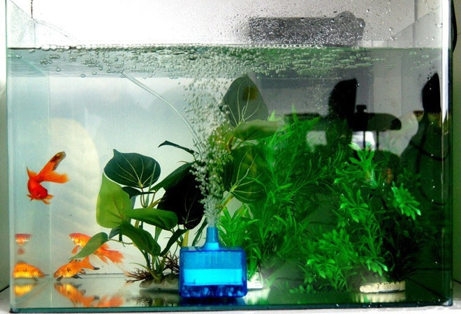 FILTRO INTERNO PER ACQUARIO AD IMMERSIONE FILTRO ACQUARIO CARBONI ATTIVI AF25 Prodotti per animali domestici/Pesci e animali d'acqua/Pompe e filtri/Filtri Trade Shop italia - Napoli, Commerciovirtuoso.it