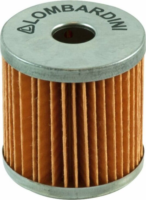 Filtro piccoli motori Lombardini riferimento originale 2175.009