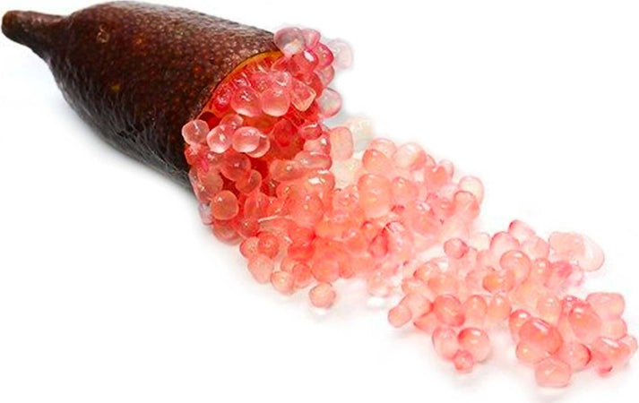 Finger Lime Caviale Di Limone Prodotto In Calabria Italiano Prima Qualità Caviale Di Agrumi Alimentari e cura della casa/Frutta e verdura/Frutta fresca/Agrumi/Limoni Perle di Limone - Marina di Gioiosa Ionica, Commerciovirtuoso.it