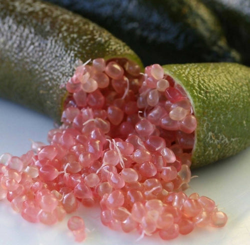Fingerlime Ricco di vitamina A, C ed E confezione Box 500g Il Melograno Peloritano