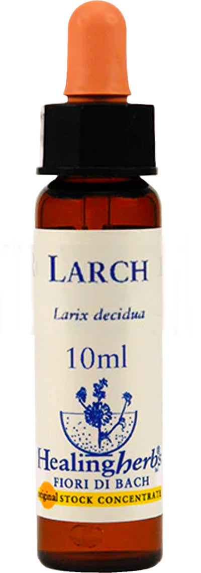 Fiori Di Bach - Larch Gocce 10 Ml Anti Scoraggiamento O Disperazione
