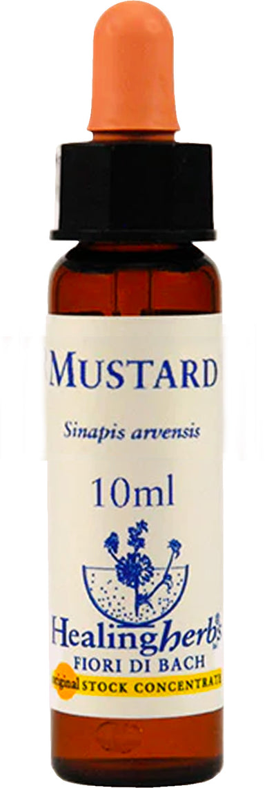 Fiori Di Bach - Mustard Gocce 10 Ml per Chi Ha Scarso Interesse per Il Presente