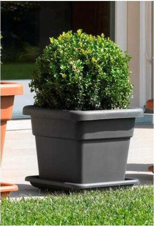 FIORIERA MAXI QUADRATA DIMENSIONI 32 X 32 X H28 CM. COLOR ANTRACITE Giardino e giardinaggio/Attrezzi da giardino e attrezzature per l'irrigazione/Vasi e accessori per piante/Vasi tradizionali Scontolo.net - Potenza, Commerciovirtuoso.it