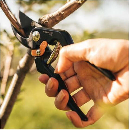 Fiskars-Forbici-da-potatura-bypass-Solid-P131