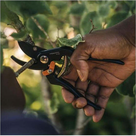 Fiskars-Forbici-da-potatura-bypass-Solid-P131