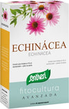 FITOCULTURA-ECHINACEA-40-CAPSULE