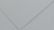 Foglio Colorline - 70x100 cm - 220 gr - grigio chiaro - Canson [multipack] 25 pezzi Casa e cucina/Hobby creativi/Carta e lavorazione della carta/Carta/Cartoncino colorato Eurocartuccia - Pavullo, Commerciovirtuoso.it