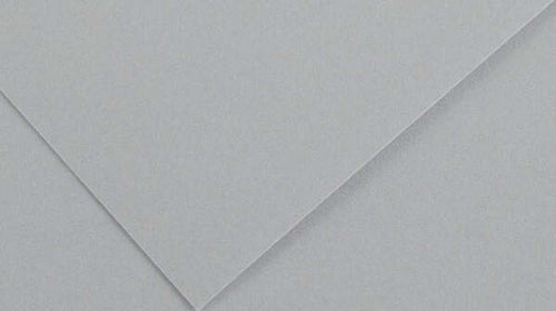Foglio Colorline - 70x100 cm - 220 gr - grigio chiaro - Canson [multipack] 25 pezzi Casa e cucina/Hobby creativi/Carta e lavorazione della carta/Carta/Cartoncino colorato Eurocartuccia - Pavullo, Commerciovirtuoso.it