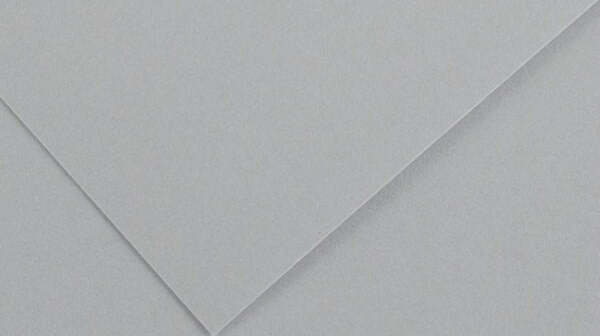 Foglio Colorline - 70x100 cm - 220 gr - grigio chiaro - Canson [multipack] 25 pezzi Casa e cucina/Hobby creativi/Carta e lavorazione della carta/Carta/Cartoncino colorato Eurocartuccia - Pavullo, Commerciovirtuoso.it