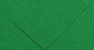 Foglio Colorline - 70x100 cm - 220 gr - verde vivo - Canson [multipack] 25 pezzi Casa e cucina/Hobby creativi/Carta e lavorazione della carta/Carta/Cartoncino colorato Eurocartuccia - Pavullo, Commerciovirtuoso.it