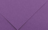 Foglio Colorline - 70x100 cm - 220 gr - viola - Canson [multipack] 25 pezzi Casa e cucina/Hobby creativi/Carta e lavorazione della carta/Carta/Cartoncino colorato Eurocartuccia - Pavullo, Commerciovirtuoso.it