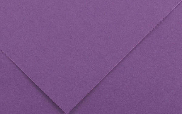 Foglio Colorline - 70x100 cm - 220 gr - viola - Canson [multipack] 25 pezzi Casa e cucina/Hobby creativi/Carta e lavorazione della carta/Carta/Cartoncino colorato Eurocartuccia - Pavullo, Commerciovirtuoso.it