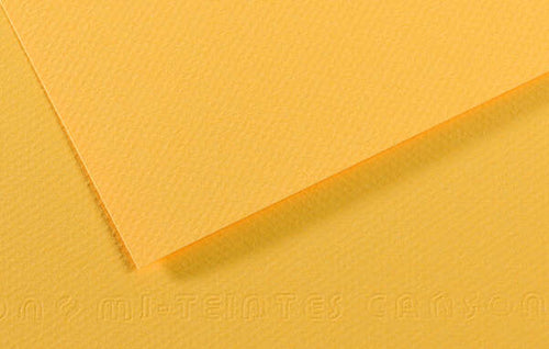 Foglio Mi-Teintes - A4 - 160 gr - botton d'oro - Canson [multipack] 25 pezzi Casa e cucina/Hobby creativi/Carta e lavorazione della carta/Carta/Cartoncino colorato Eurocartuccia - Pavullo, Commerciovirtuoso.it