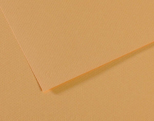 Foglio Mi-Teintes - A4 - 160 gr - canapa chiara - Canson [multipack] 25 pezzi Casa e cucina/Hobby creativi/Carta e lavorazione della carta/Carta/Cartoncino colorato Eurocartuccia - Pavullo, Commerciovirtuoso.it