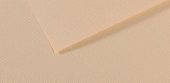 Foglio Mi-Teintes - A4 - 160 gr - conchiglia - Canson [multipack] 25 pezzi Casa e cucina/Hobby creativi/Carta e lavorazione della carta/Carta/Cartoncino colorato Eurocartuccia - Pavullo, Commerciovirtuoso.it