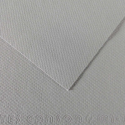 Foglio Mi-Teintes - A4 - 160 gr - grigio flanella - Canson [multipack] 25 pezzi Casa e cucina/Hobby creativi/Carta e lavorazione della carta/Carta/Cartoncino colorato Eurocartuccia - Pavullo, Commerciovirtuoso.it
