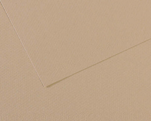 Foglio Mi-Teintes - A4 - 160 gr - grigio trianon - Canson [multipack] 25 pezzi Casa e cucina/Hobby creativi/Carta e lavorazione della carta/Carta/Cartoncino colorato Eurocartuccia - Pavullo, Commerciovirtuoso.it