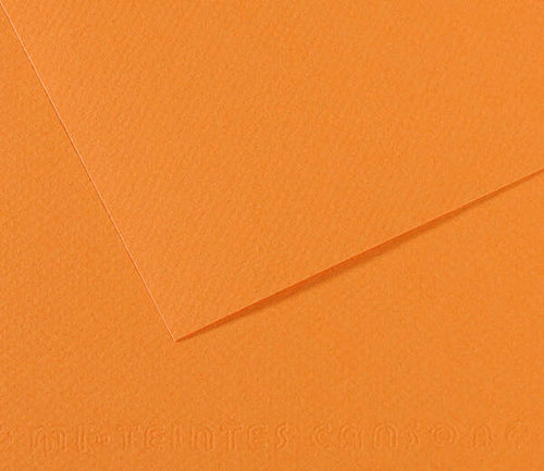 Foglio Mi-Teintes - A4 - 160 gr - salmone - Canson [multipack] 25 pezzi Casa e cucina/Hobby creativi/Carta e lavorazione della carta/Carta/Cartoncino colorato Eurocartuccia - Pavullo, Commerciovirtuoso.it