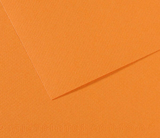 Foglio Mi-Teintes - A4 - 160 gr - salmone - Canson [multipack] 25 pezzi Casa e cucina/Hobby creativi/Carta e lavorazione della carta/Carta/Cartoncino colorato Eurocartuccia - Pavullo, Commerciovirtuoso.it