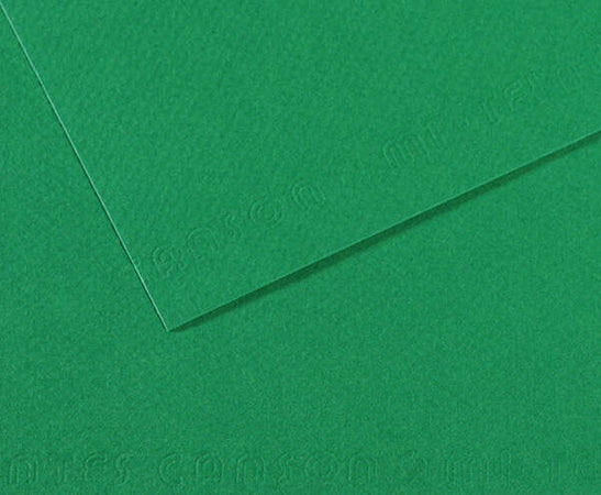 Foglio Mi-Teintes - A4 - 160 gr - verde biliardo - Canson [multipack] 25 pezzi Casa e cucina/Hobby creativi/Carta e lavorazione della carta/Carta/Cartoncino colorato Eurocartuccia - Pavullo, Commerciovirtuoso.it