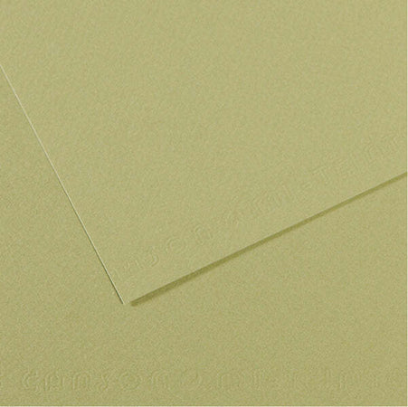 Foglio Mi-Teintes - A4 - 160 gr - verde mandorla - Canson [multipack] 25 pezzi Casa e cucina/Hobby creativi/Carta e lavorazione della carta/Carta/Cartoncino colorato Eurocartuccia - Pavullo, Commerciovirtuoso.it