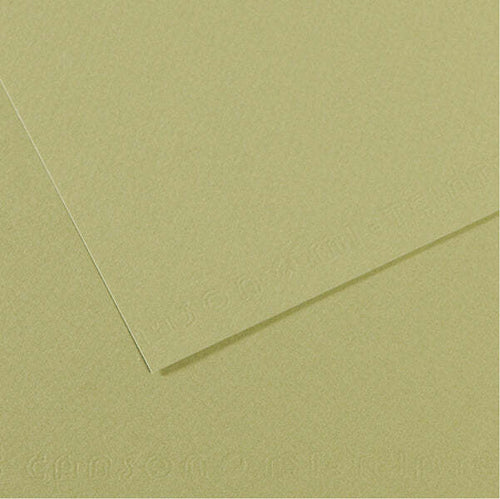 Foglio Mi-Teintes - A4 - 160 gr - verde mandorla - Canson [multipack] 25 pezzi Casa e cucina/Hobby creativi/Carta e lavorazione della carta/Carta/Cartoncino colorato Eurocartuccia - Pavullo, Commerciovirtuoso.it